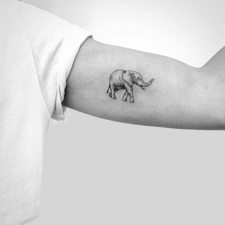 21 Prachtige Olifant Tattoo Ideeën Om Dit Zachtaardige Dier Te Vieren
